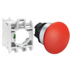 MANTAR KAFALI BUTONLAR